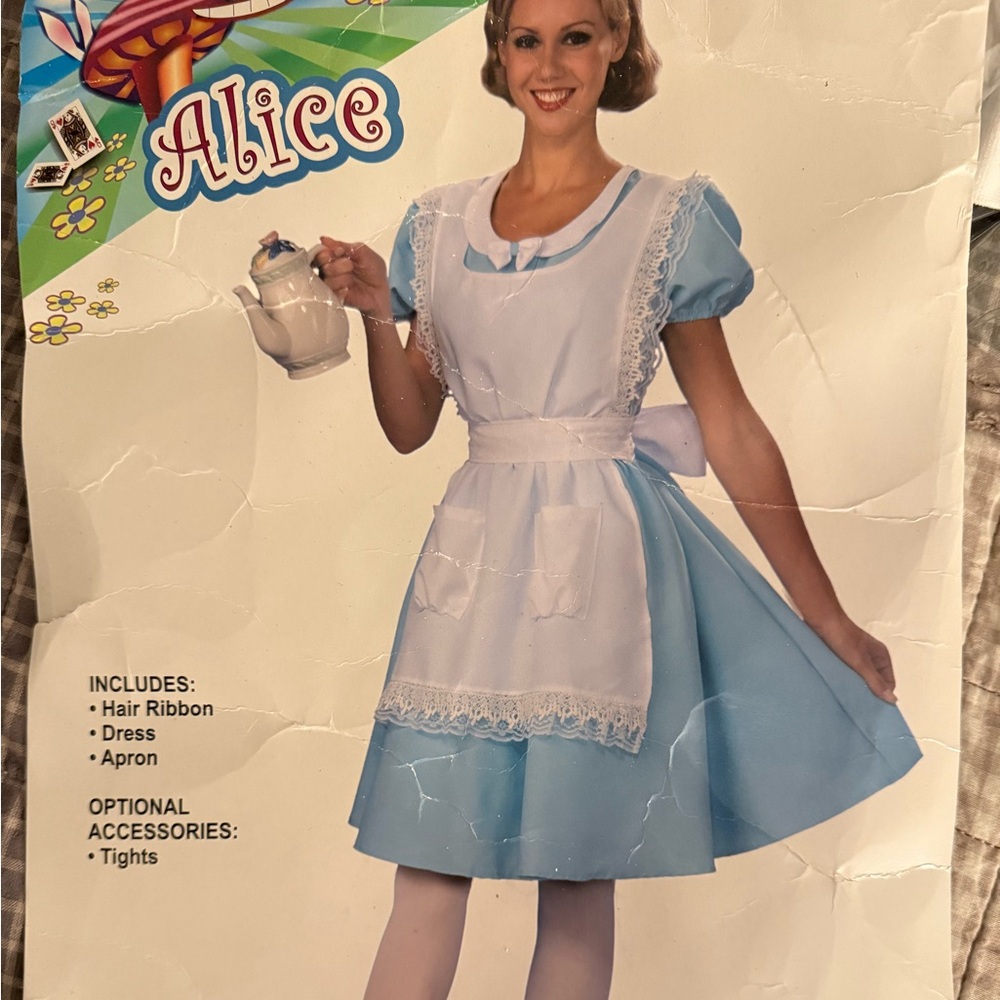 Alice in Wonderland adult costume fits up to 14/16